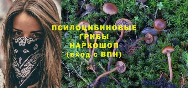гидропоника Абинск